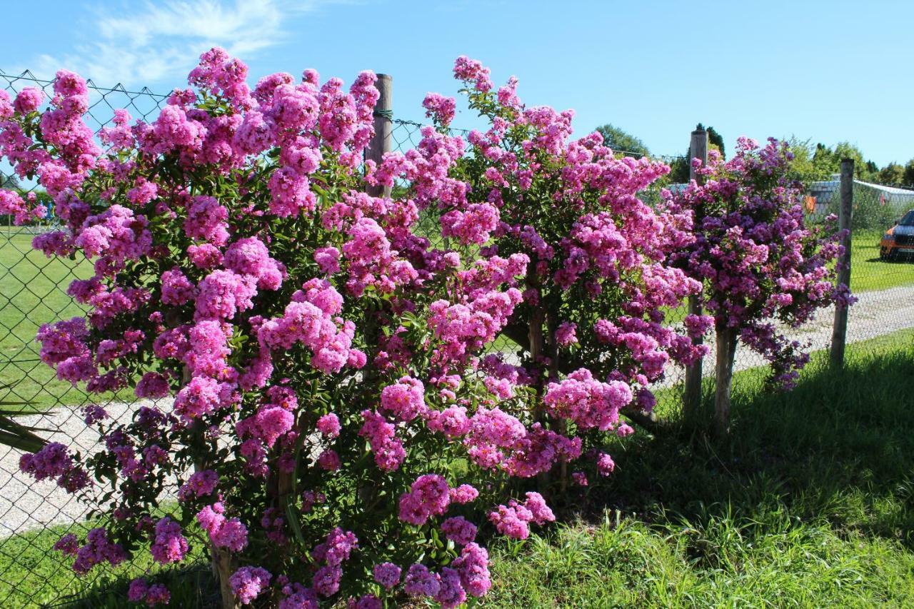 Agriturismo Al-Bor Lazise Dış mekan fotoğraf