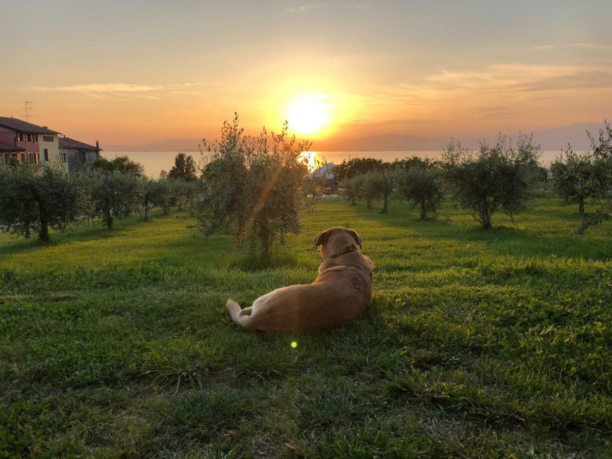 Agriturismo Al-Bor Lazise Dış mekan fotoğraf